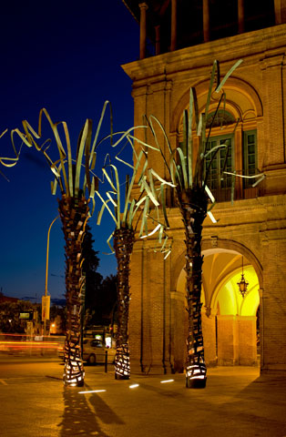 Palmeras de MUHER en la ciudad de Murcia - 15