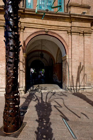 Palmeras de MUHER en la ciudad de Murcia - 16