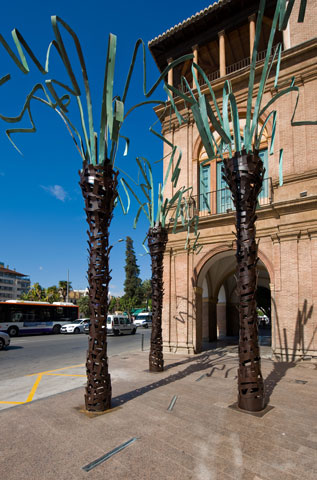 Palmeras de MUHER en la ciudad de Murcia - 17