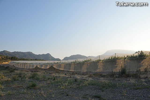 Inauguran las obras de un camino en la diputacin de Las Viñas-Carivete - 32