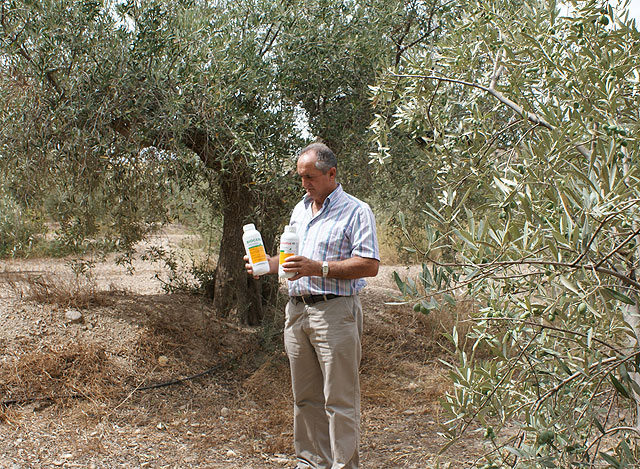 La concejalía de Desarrollo Rural inicia la Campaña Agrícola contra la Mosca de la Fruta - 1, Foto 1