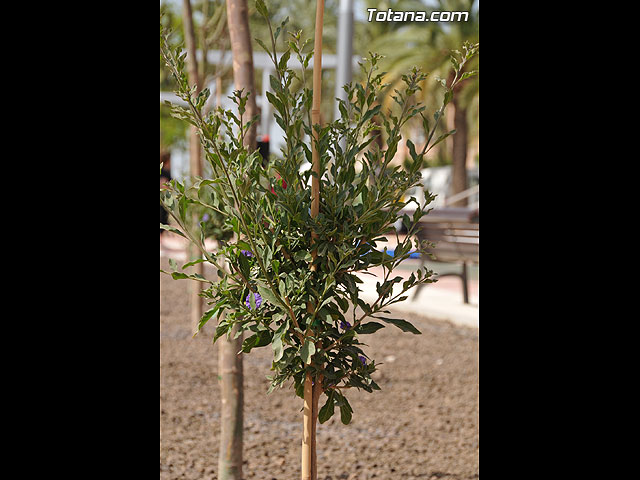 Inaugurado el Jardn de la Cruz Roja - 12