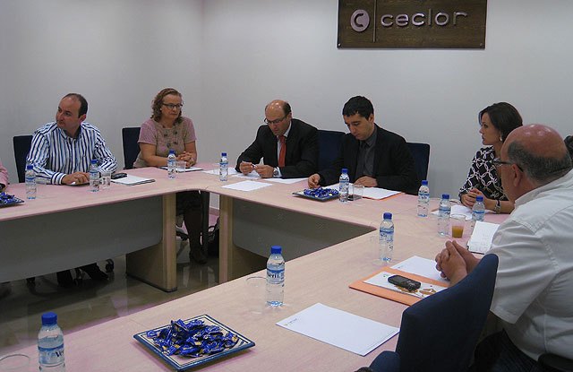 Cruz preside la constitución de una mesa de estudio para impulsar proyectos culturales y turísticos en Lorca - 1, Foto 1