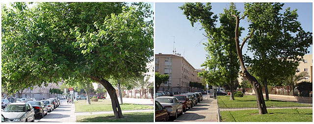 PSOE: Más ‘palos de ciego’: estrategia de la responsable de Medio Ambiente - 1, Foto 1