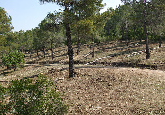 Agricultura invierte más de un millón de euros en infraestructuras para prevenir incendios forestales en los montes de Cehegín - 1, Foto 1
