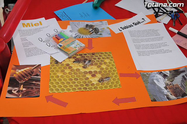 Cientos de personas visitaron la segunda muestra del “Mercadillo Artesano de La Santa” - 1, Foto 1