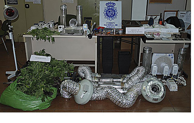 Desmantelada una plantación de marihuana instalada en un inmueble de Puente Tocinos - 1, Foto 1