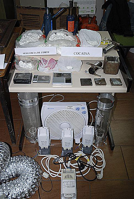 Desmantelada una plantación de marihuana instalada en un inmueble de Puente Tocinos - 2, Foto 2