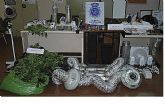 Desmantelada una plantacin de marihuana instalada en un inmueble de Puente Tocinos