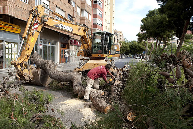 Alfonso X el Sabio se corta el lunes al tráfico por obras - 1, Foto 1