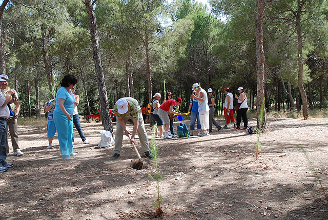 Más de 80 personas con discapacidad psíquica y 25 voluntarios participan en una plantación de árboles en El Valle y Carrascoy - 1, Foto 1
