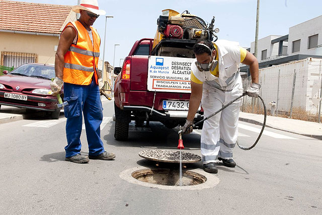 El Ayuntamiento incluye este año a San Ginés en la campaña de desinsectación - 1, Foto 1