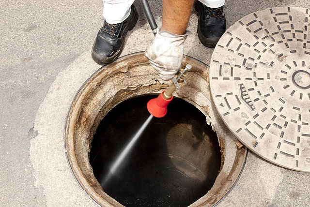 El Ayuntamiento incluye este año a San Ginés en la campaña de desinsectación - 2, Foto 2