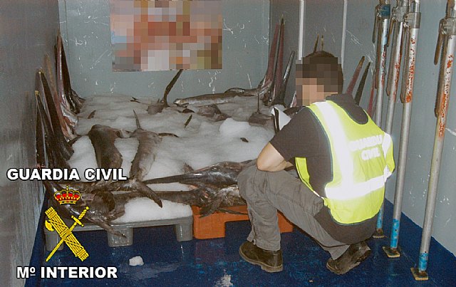 Operación Sable. La Guardia Civil decomisa dos toneladas de carne y pescado por infracción a la normativa reguladora, Foto 3
