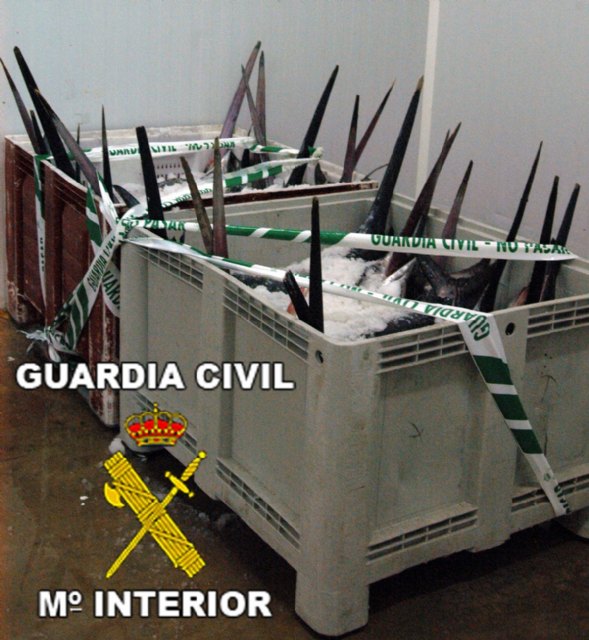 Operación Sable. La Guardia Civil decomisa dos toneladas de carne y pescado por infracción a la normativa reguladora, Foto 4