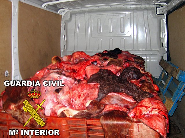 Operación Sable. La Guardia Civil decomisa dos toneladas de carne y pescado por infracción a la normativa reguladora, Foto 1
