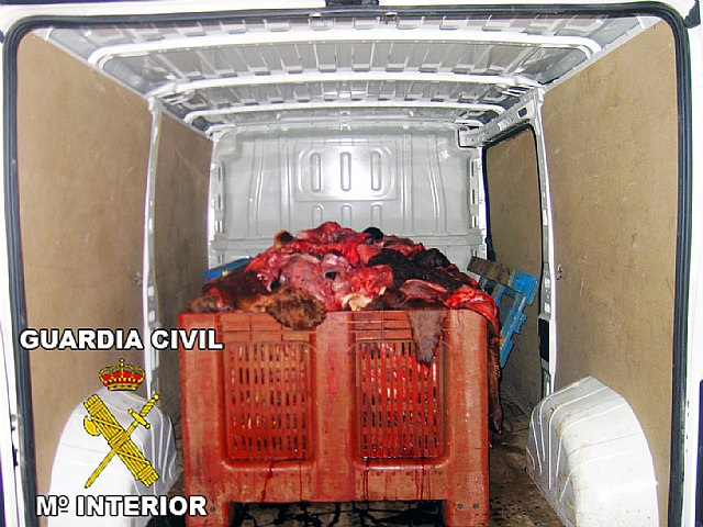 Operación Sable. La Guardia Civil decomisa dos toneladas de carne y pescado por infracción a la normativa reguladora, Foto 2