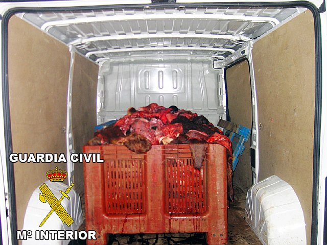 Operación Sable. La Guardia Civil decomisa dos toneladas de carne y pescado por infracción a la normativa reguladora, Foto 2