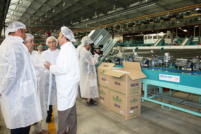 Cerdá, visitó hoy la ampliación de las instalaciones de la empresa Molinense Producciones Naturales S.L - 1, Foto 1