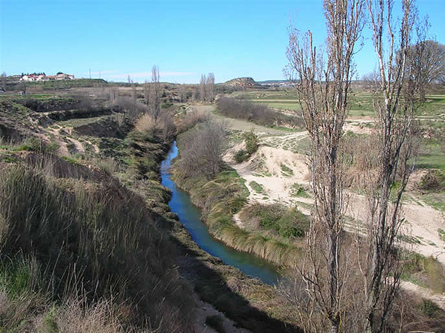 El PSOE lleva una Moción al Pleno de este miércoles para que se financie el proyecto de recuperación ambiental del cauce y ribera del Río Quípar - 1, Foto 1