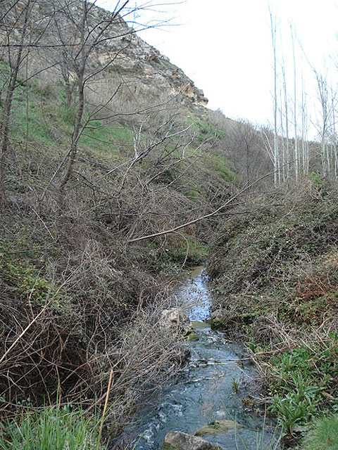 El PSOE lleva una Moción al Pleno de este miércoles para que se financie el proyecto de recuperación ambiental del cauce y ribera del Río Quípar - 3, Foto 3