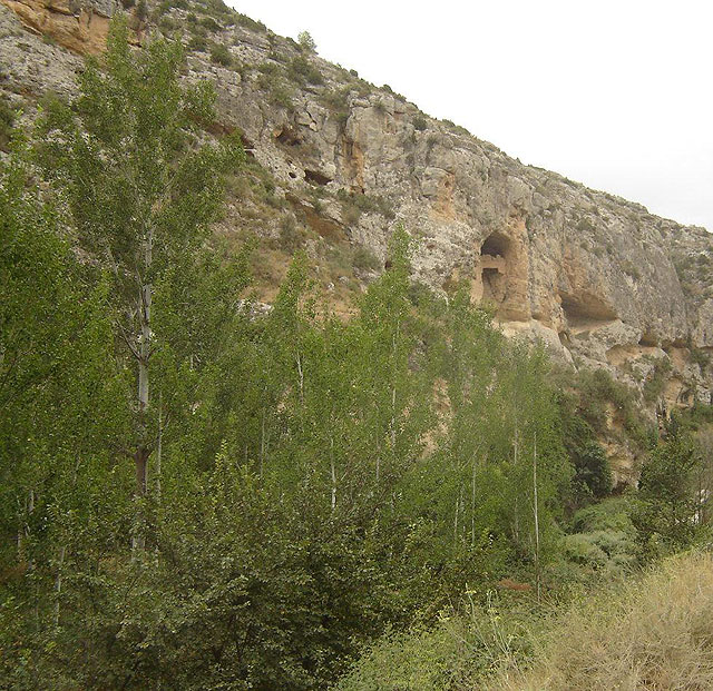 El PSOE lleva una Moción al Pleno de este miércoles para que se financie el proyecto de recuperación ambiental del cauce y ribera del Río Quípar - 5, Foto 5