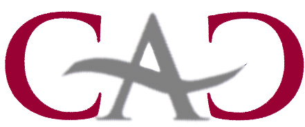 Casco Antiguo obtuvo beneficios y redujo su deuda en 2008 - 1, Foto 1