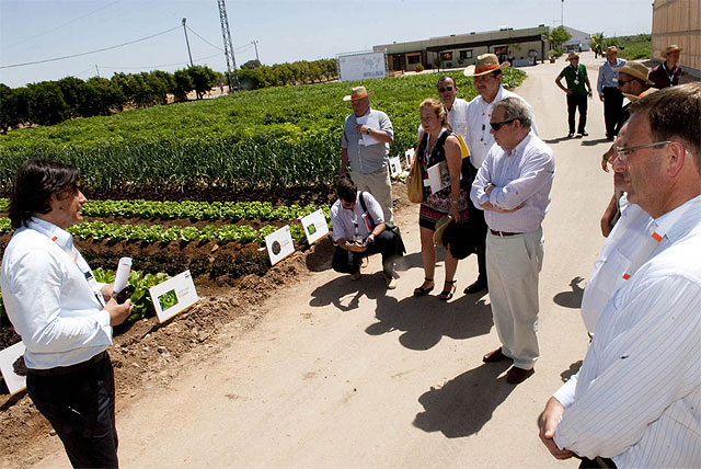 La Palma, a la cabeza de la investigación y el desarrollo agrícola - 1, Foto 1