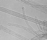 La tecnologa de nanotubos de carbono de la Regin de Murcia podra tener grandes aplicaciones en la industria del automvil