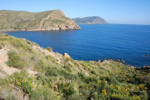 ANSE da a conocer la costa de la Fausilla-El Gorguel que sería destruida por el macropuerto de contenedores. - 2, Foto 2