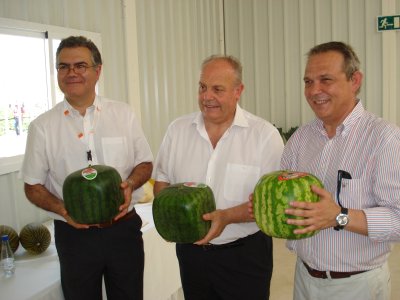 Agricultura destaca la importancia del sector productor de semillas y plántulas hortícolas en la Región - 1, Foto 1