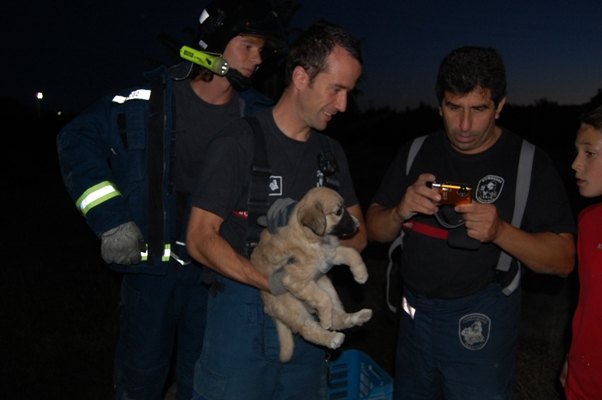 Una cahorrita de mes y medio rescatada de un pozo de aguas residuales - 1, Foto 1