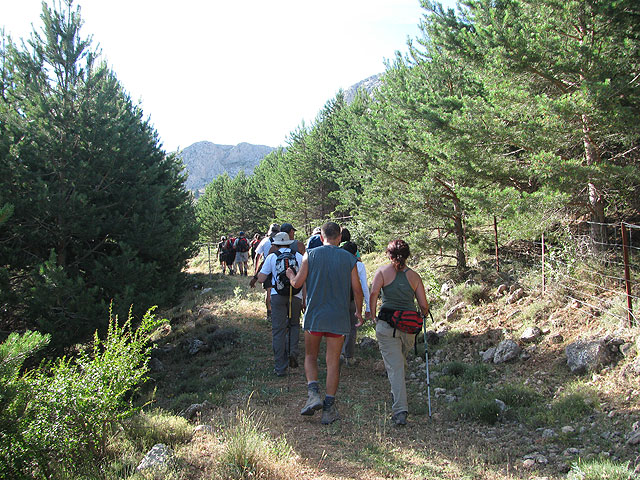 El Club Senderista de Totana realiz una salida a la Sierra de Mara - 18