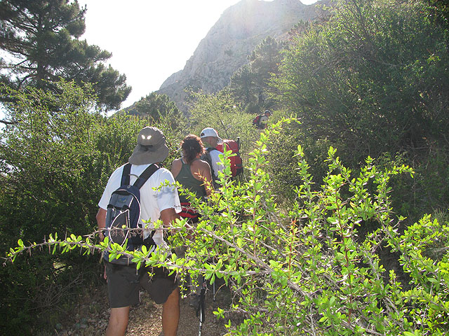 El Club Senderista de Totana realiz una salida a la Sierra de Mara - 22