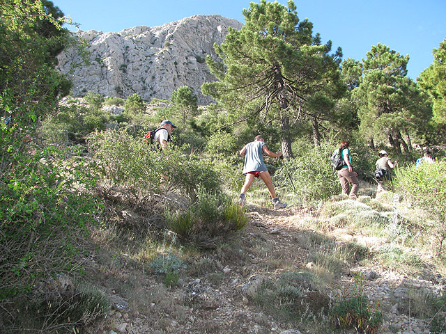 El Club Senderista de Totana realiz una salida a la Sierra de Mara - 23