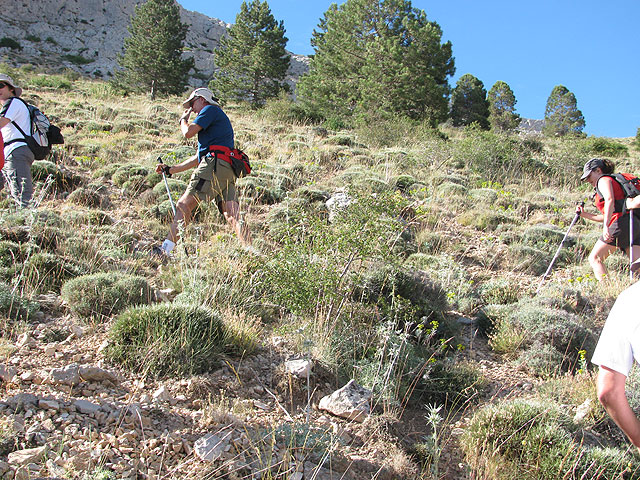 El Club Senderista de Totana realiz una salida a la Sierra de Mara - 27