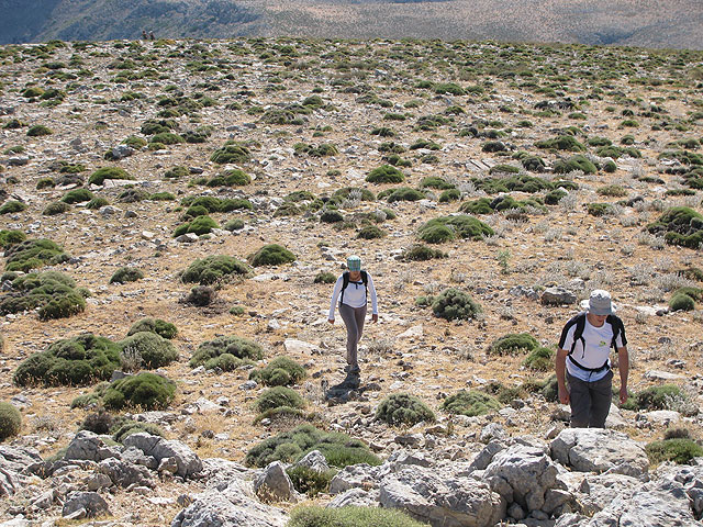 El Club Senderista de Totana realiz una salida a la Sierra de Mara - 31