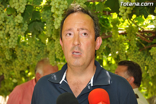 Guardia Civil, Polica Local y vigilantes rurales peinan las zonas de cultivo de uva de mesa - 15