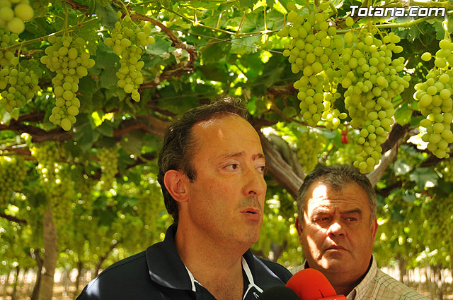 Guardia Civil, Polica Local y vigilantes rurales peinan las zonas de cultivo de uva de mesa - 16