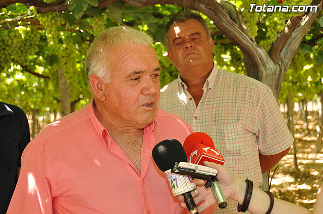 Guardia Civil, Polica Local y vigilantes rurales peinan las zonas de cultivo de uva de mesa - 23
