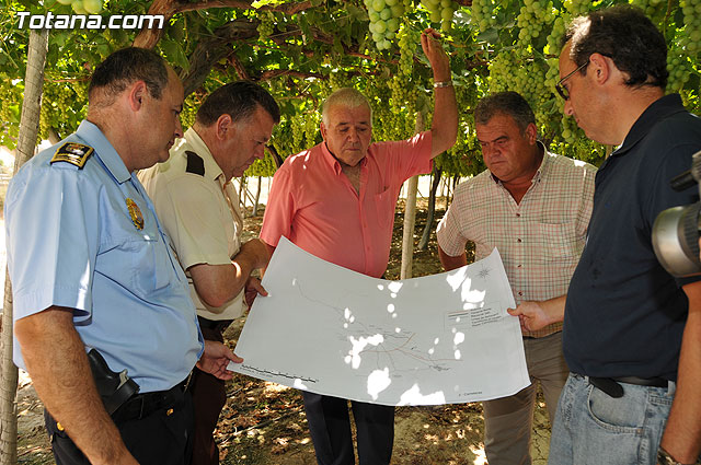 Guardia Civil, Polica Local y vigilantes rurales peinan las zonas de cultivo de uva de mesa - 24