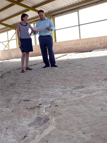 Centenares de medios de comunicación de todo el mundo se hacen eco del reconocimiento científico de las huellas de camello de La Hoya de la Sima - 2, Foto 2
