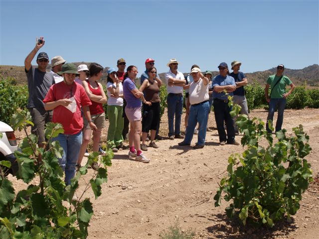 Visitan Jumilla un grupo de geólogos de toda España, de la empresa Gessal - 1, Foto 1