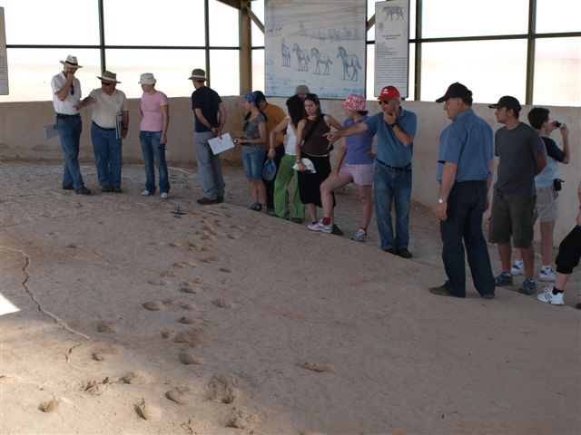 Visitan Jumilla un grupo de geólogos de toda España, de la empresa Gessal - 2, Foto 2