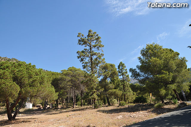Un total de 300 niños y jvenes participan en las escuelas de verano, campamentos, viajes, y actividades diversas - 1
