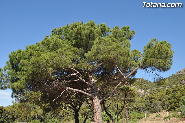 Un total de 300 niños y jvenes participan en las escuelas de verano, campamentos, viajes, y actividades diversas - 2