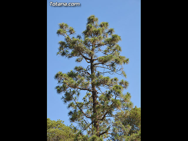 Un total de 300 niños y jvenes participan en las escuelas de verano, campamentos, viajes, y actividades diversas - 3
