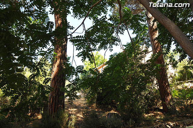 Un total de 300 niños y jvenes participan en las escuelas de verano, campamentos, viajes, y actividades diversas - 11