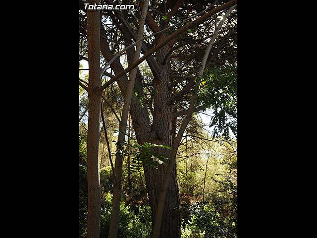 Un total de 300 niños y jvenes participan en las escuelas de verano, campamentos, viajes, y actividades diversas - 25
