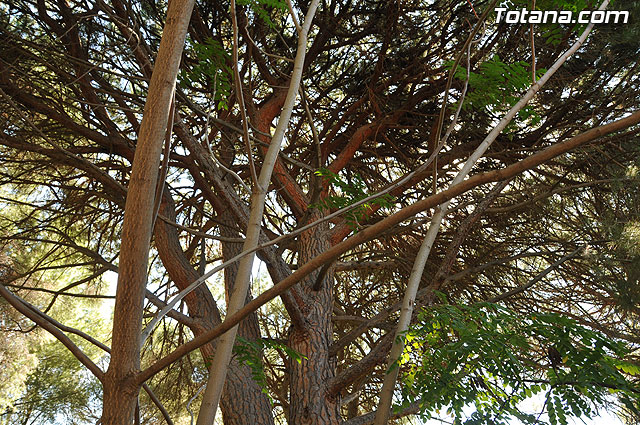 Un total de 300 niños y jvenes participan en las escuelas de verano, campamentos, viajes, y actividades diversas - 26